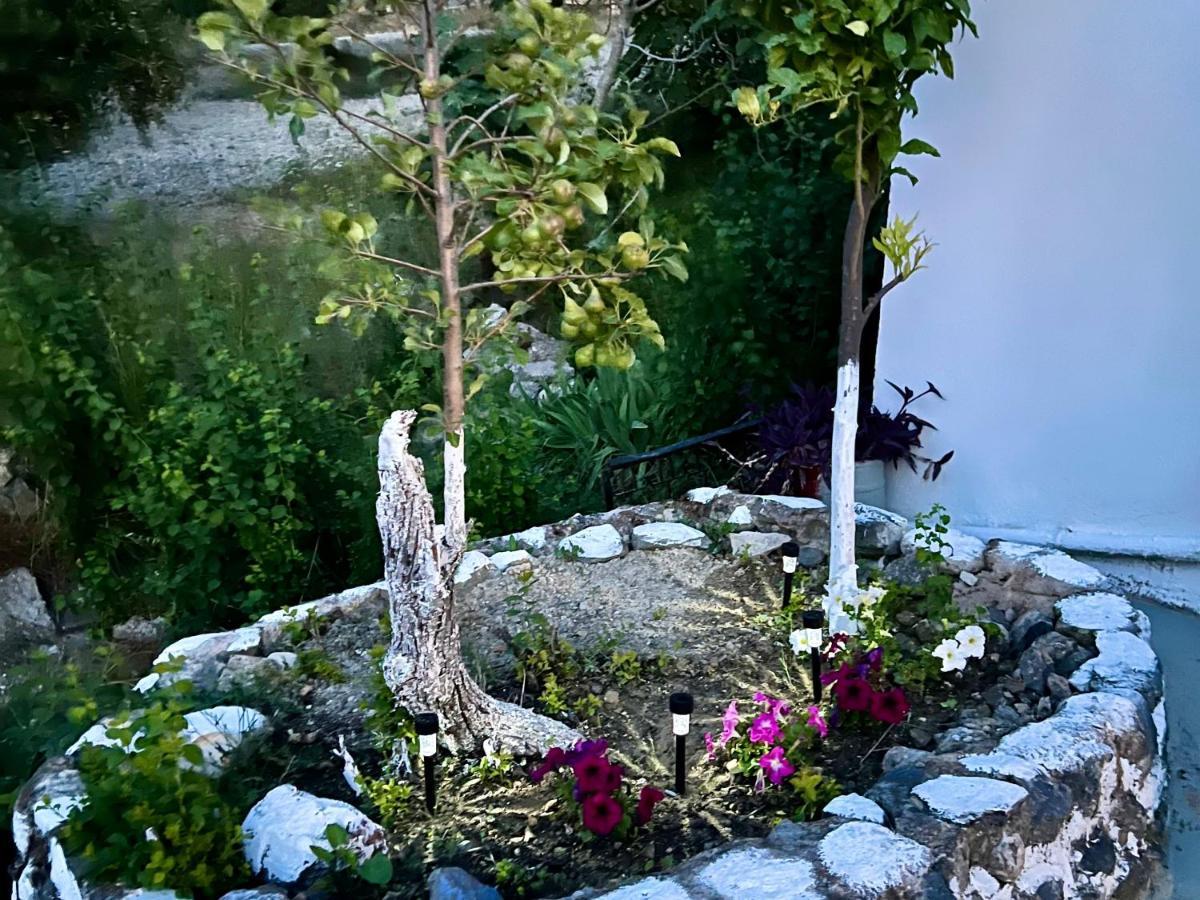 Greek House Tatiana Villa Kos-stad Buitenkant foto